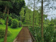 -云溪植物园