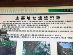-山叶口景区