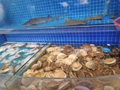 水产区-乔哥铭洋海鲜自助(皇城恒隆广场店)