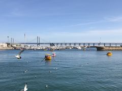 -星海湾跨海大桥