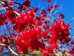 -中国建设银行哈尔滨培训中心