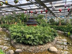 -南宫五洲植物乐园