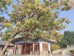 -千佛山风景名胜区