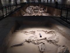 -洛阳周王城天子驾六博物馆