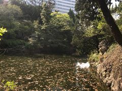 -叶家花园
