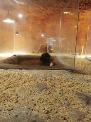 -酷嗒动物文化乐园(cutezoo西溪乐天城店)