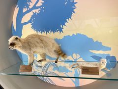 -陕西自然博物馆