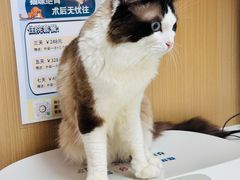 -瑞派康怡24h宠物医院·犬猫医疗中心·微创绝育(瑞景分院)