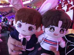 -宝能国际体育演艺中心