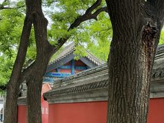 -北京国子监胡同