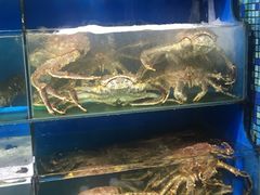 水产区-蚝专家(北滘店)
