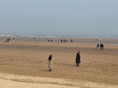 -日照海滨国家森林公园