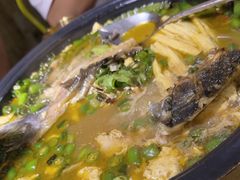 -探鱼·鲜青椒爽麻烤鱼(北京路天河城店)