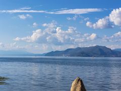 -洱海月湿地公园