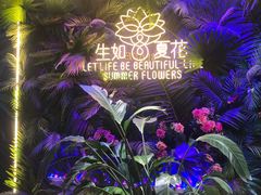 -南京时尚莱迪购物广场(正洪街店)