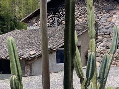 -MOJ coffee(瓯海泽雅水碓坑店)