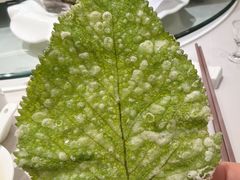 -许昌·禹州启元铂爵酒店(禹州胖东来店)