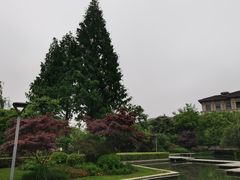 -青枫公园