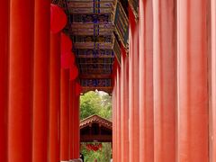 -开福禅寺