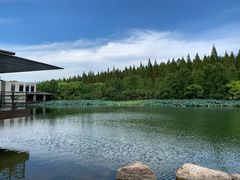 -上海怡沁园度假酒店