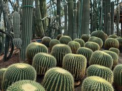 -南山植物园