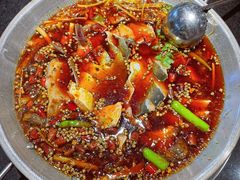 -小饕荟雅安贡椒鱼鲜馆(广福桥店)