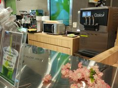 -THE MATCHA TOKYO抹茶东京