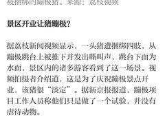 -美心红酒小镇游乐园