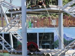 -西霞口神雕山野生动物世界