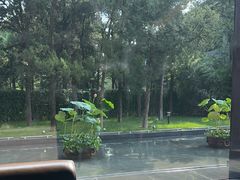 -曲水兰亭(北京四惠店)