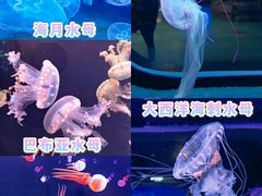 -石家庄极地海洋世界