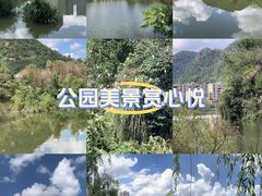 -凤池园