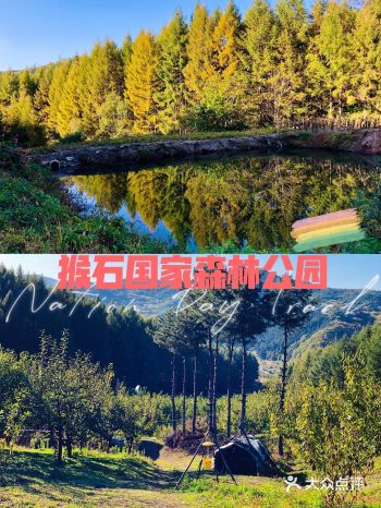 （我是顺便去了抚顺吃了烤肉）个人觉得