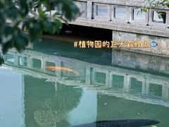 -杭州植物园