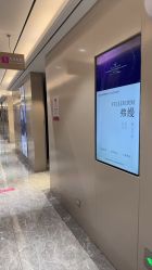 -北京新星靓医美