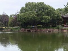 -范蠡湖公园