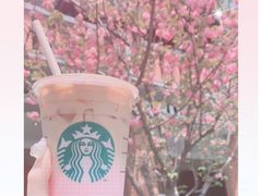 -星巴克臻选(思南公馆店)