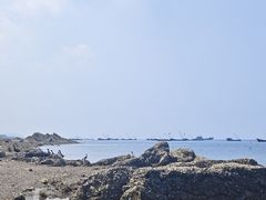 -广鹿岛