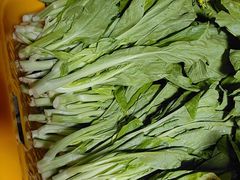 -院里寻菜·精致庭院菜(观沙岭店)