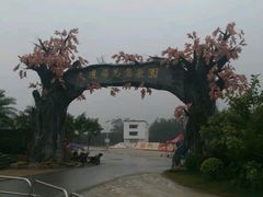 -天适樱花悠乐园