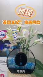 -Fundi张玉珊修身堂·indiba·BTL科技瘦身