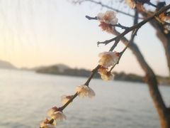 -东钱湖旅游度假区