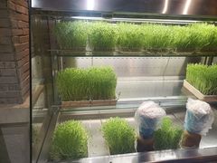-蜀大侠火锅(四川北路店)