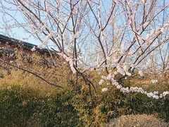 -大连金石滩绿发温泉假日酒店
