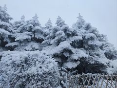 -峨眉山风景名胜区