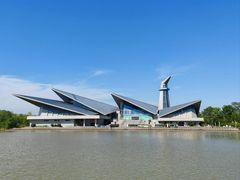 -盐城丹顶鹤湿地生态旅游区