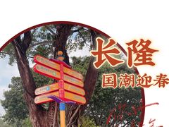 -广州长隆欢乐世界