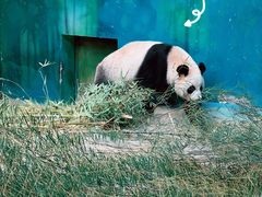 -杭州野生动物世界