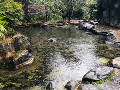 -蝴蝶泉公园