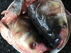 胖头鱼-白洋淀锅里口灶台鱼